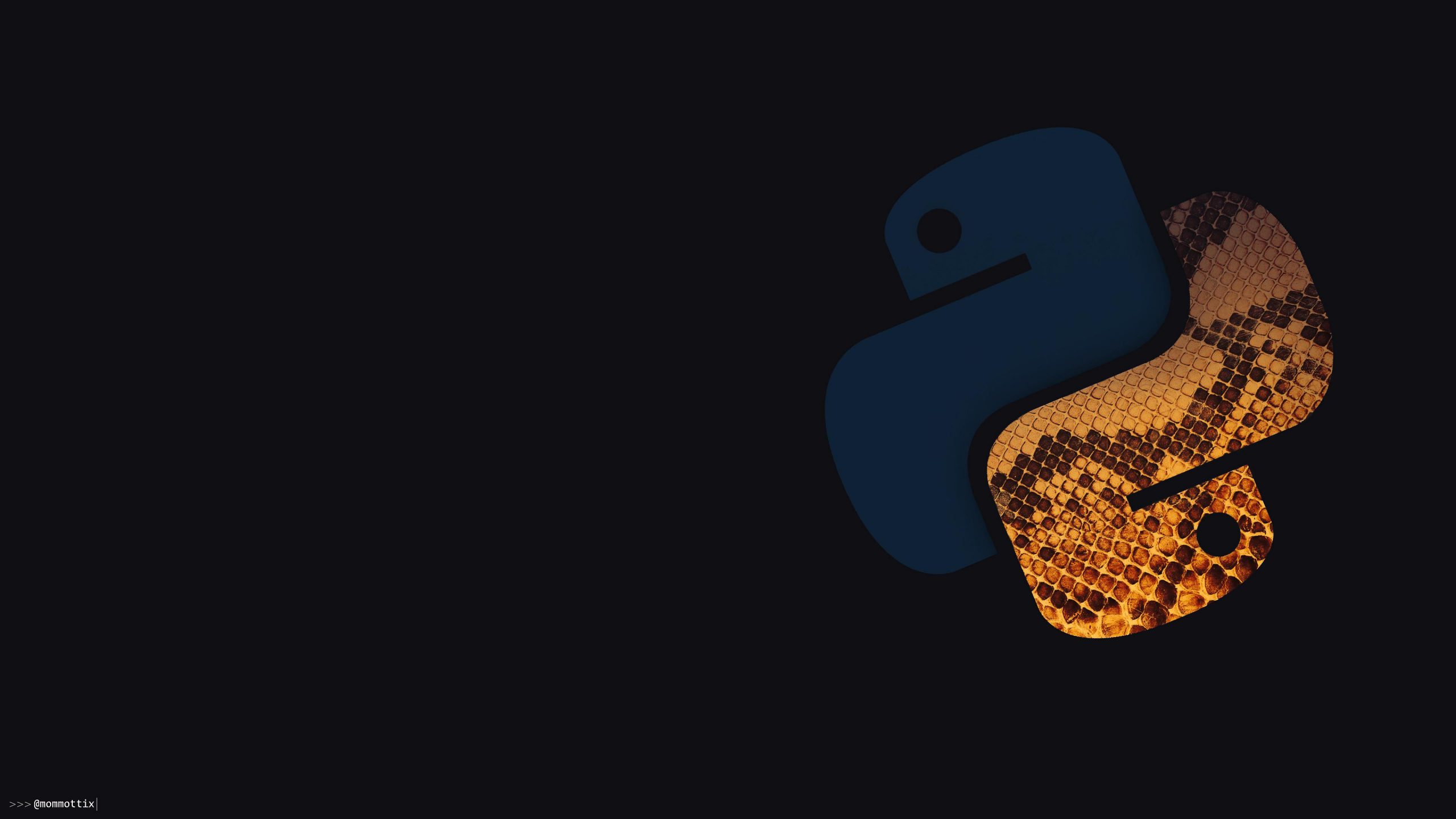 Python ne işe yarar? - Hwid Yazılım